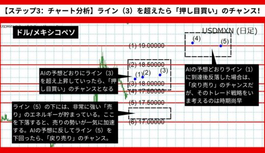 【AI予想とチャート分析】ドル/メキシコペソは19.19まで上昇？《2024年07月最新》