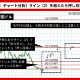 【AI予想】柴犬コイン/米国ドルは0.0000293142まで上昇？【2024年07月最新】