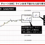 【AI予想とチャート分析】ドル/トルコリラ（USD/TRY）は36.77952まで上昇？《2024年10月最新》