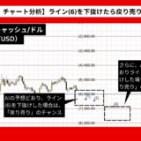 【AI予想とチャート分析】ビットコインキャッシュ/ドル（BCH/USD）は208.88まで下落？《2024年10月最新》