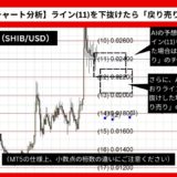 【AI予想とチャート分析】柴犬コイン/ドル（SHIB/USD）は0.01781まで下落？《2024年11月最新》